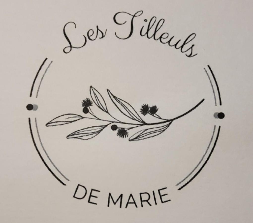 Les Tilleuls De Marie Saint-Edmond Buitenkant foto